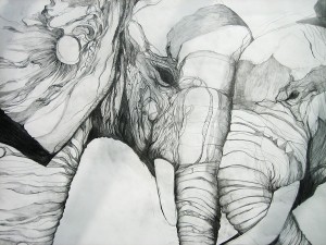 Elephants 4